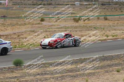 media/May-03-2025-Lucky Dog Racing (Sat) [[206de64b9d]]/Turn 6 (150pm-230pm)/